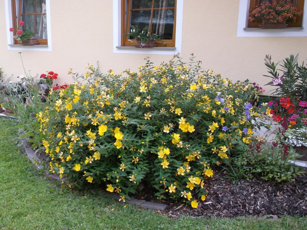 Haus Margit Apartment Schlierbach ภายนอก รูปภาพ