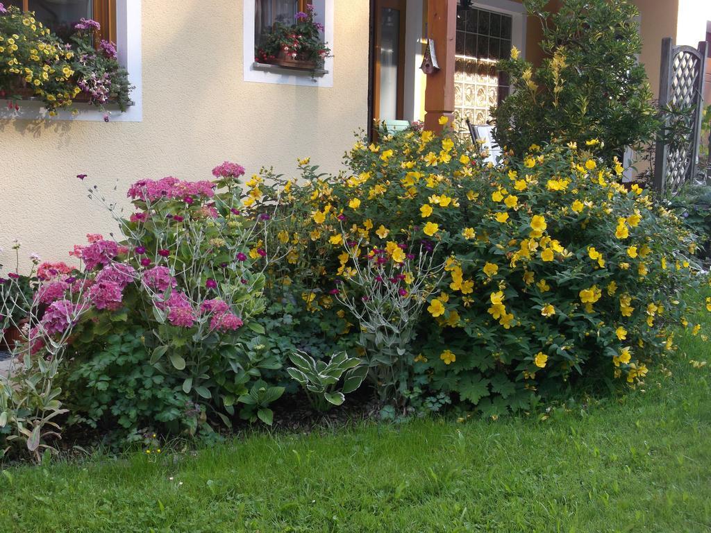 Haus Margit Apartment Schlierbach ภายนอก รูปภาพ